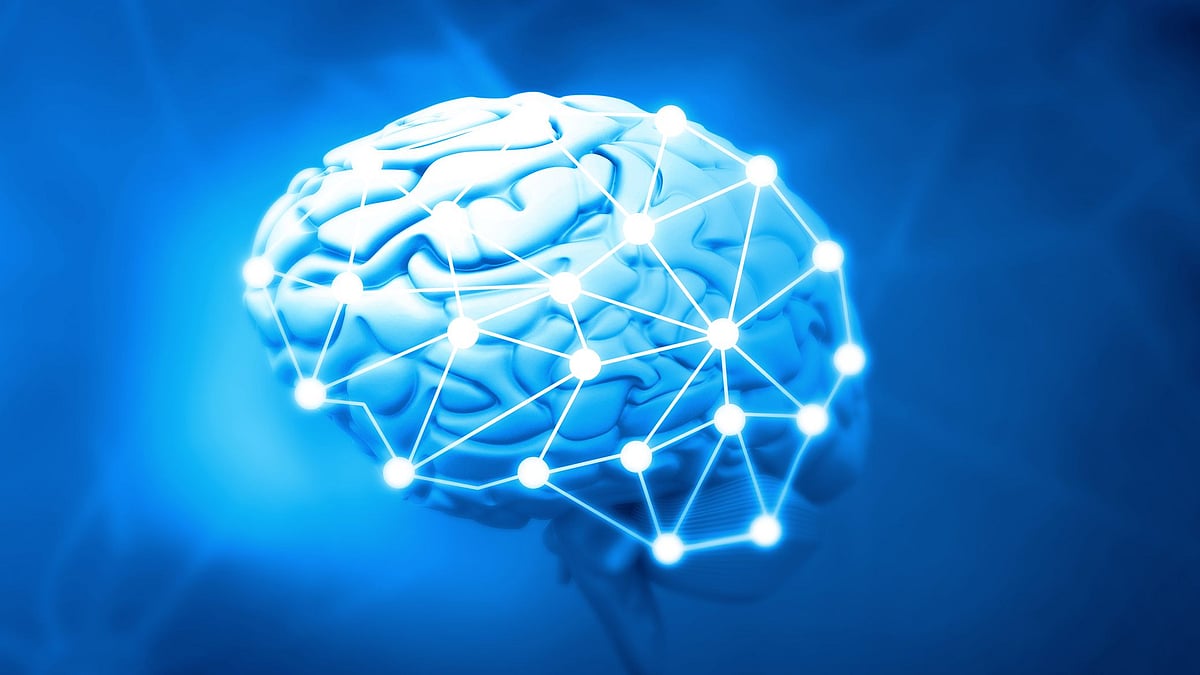 Researchers at IIT Madras are using computer modelling to understand nerve cells that control spatial navigation and movement in mammals.
