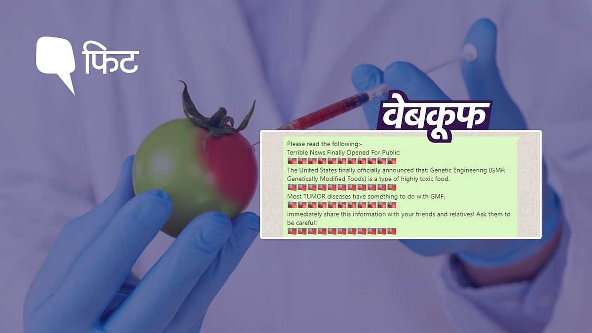 क्या जीएम फूड्स सेहत के लिए हानिकारक हैं?