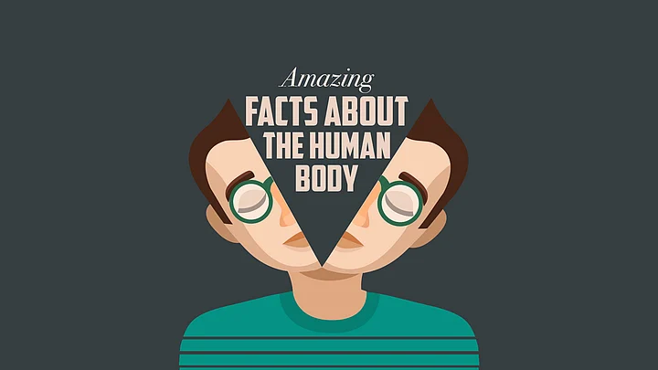 Awesume Body InfographiQ: Amazing Facts About the Human Body