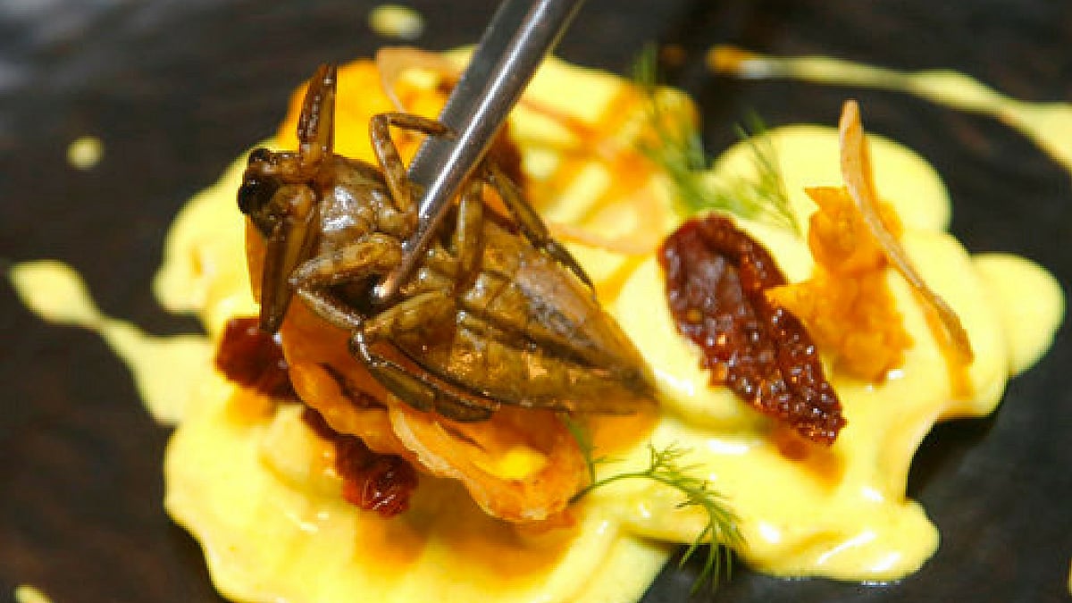 Care for a Side of Silkworms? Bugs are Now Fine Dining in Bangkok