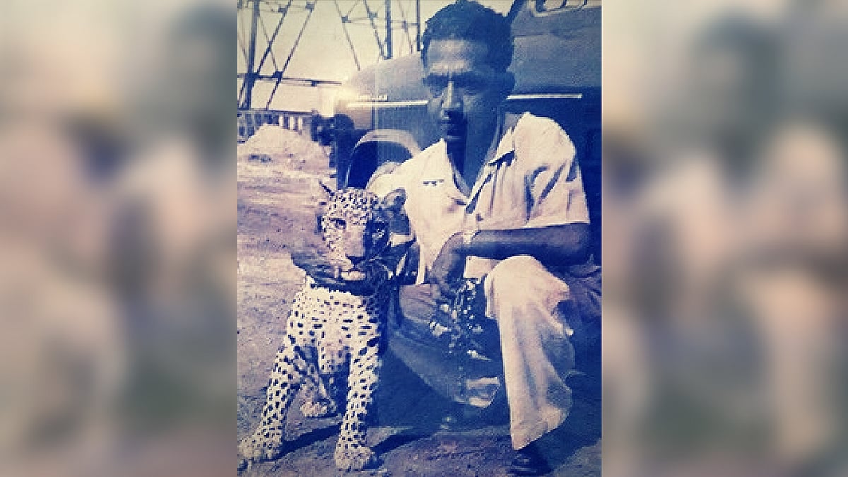 How I Found, Fell in Love With and Let Go of Ruby, My Pet Leopard