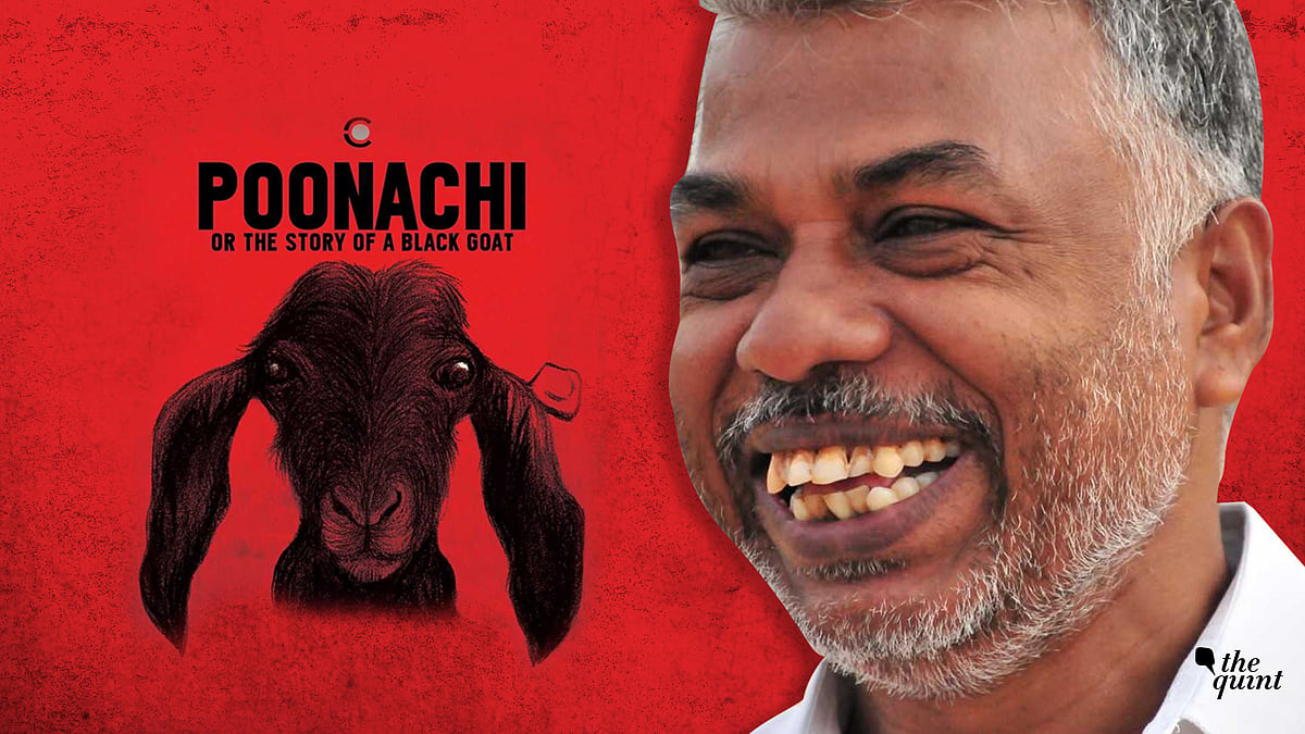 ‘Poonachi’ Is Not Me, but She Resides in Me: Perumal Murugan