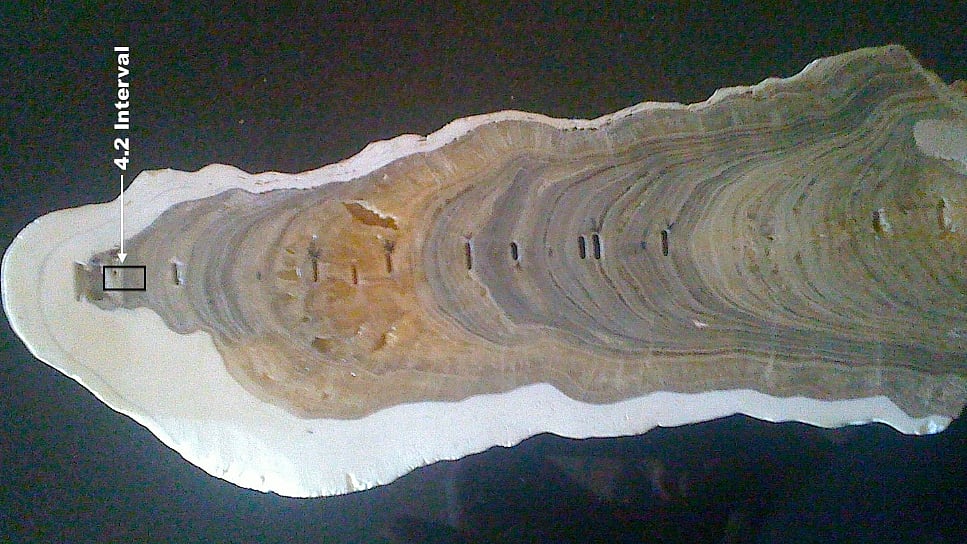 Geological Time Scale: New Phase in Earth’s History Defined As ...