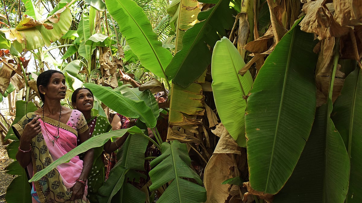 Impact of Climate Change on Women: Creating a Gendered Lens in Climate ...