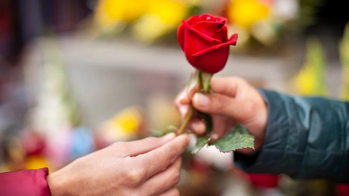 Red Roses Celebrate National Red Rose Day 2024 Date: History, Importance, How To Celebrate ...