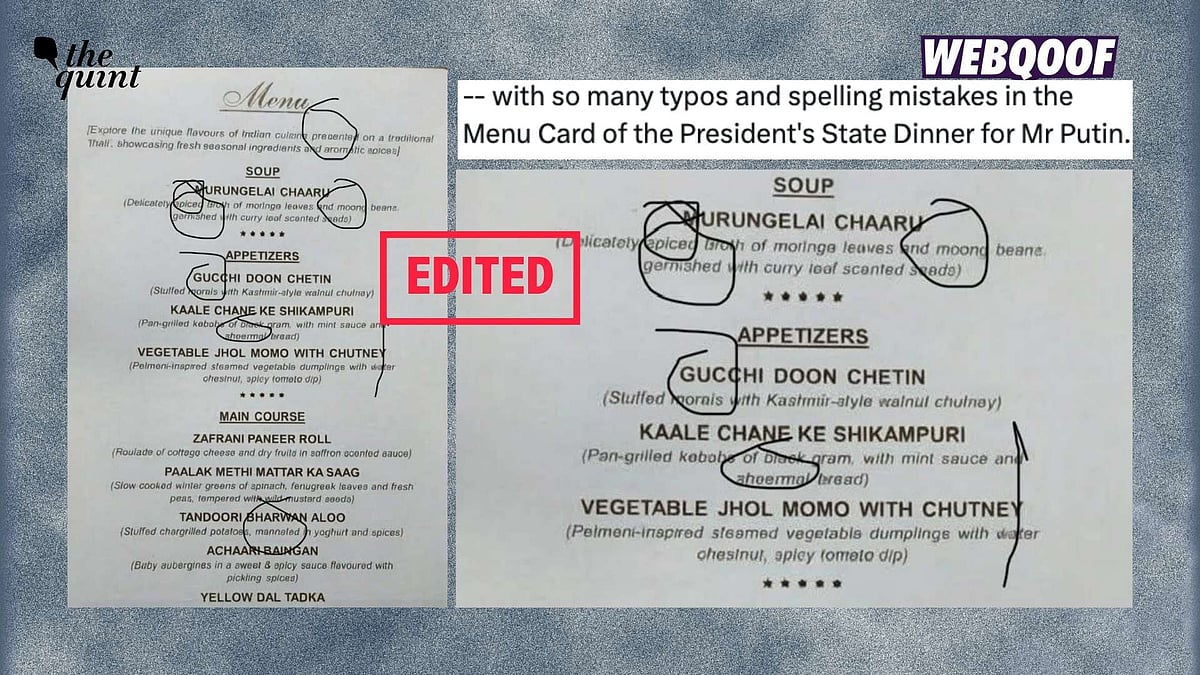 Fact-Check: Was Russian President Vladimir Putin’s State Banquet Menu ...