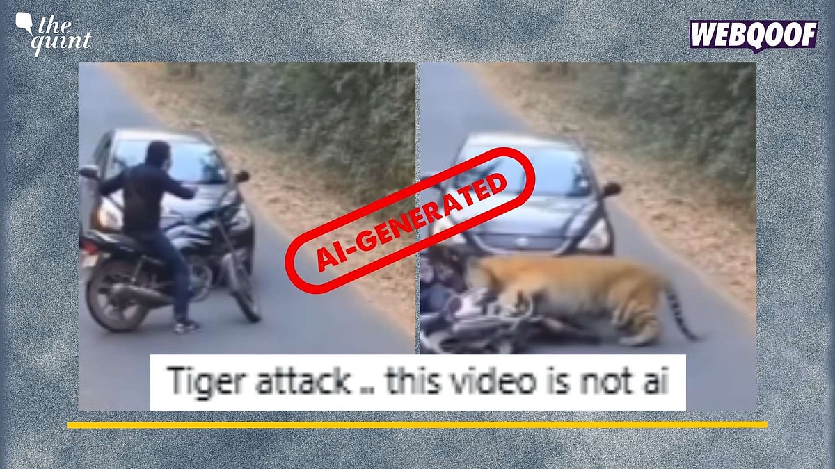 Clip viral de tigre atacando