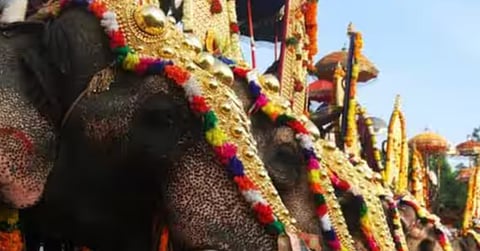 Financial fraud in connection with elephant processions 