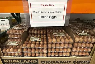 മുട്ടയുണ്ടോ, മുട്ട ?: യൂറോപ്പിനോട് അമേരിക്ക | Got some eggs to spare? US asks Europe