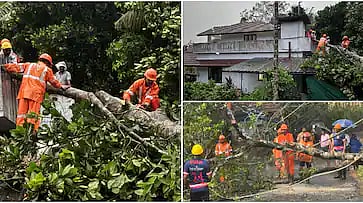 വേനൽമഴയിൽ വയനാട്ടിൽ പലയിടത്തും നാശനഷ്ടം: വീടിന് മുകളിൽ മരം വീണു, ഇലക്ട്രിക് പോസ്റ്റ് ഒടിഞ്ഞു വീണു