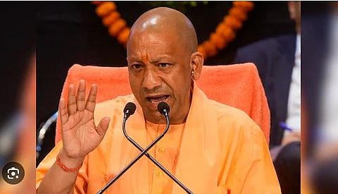 Yogi