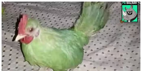 viral post