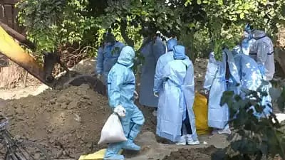 Bird flu | പച്ച മാംസം കഴിപ്പിച്ചു: ആന്ധ്രാപ്രദേശിൽ പക്ഷിപ്പനി ബാധിച്ച് 2 വയസ്സുകാരി മരിച്ചു