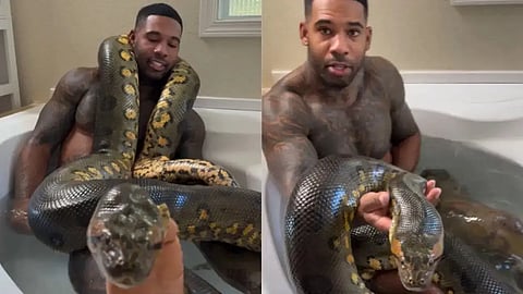 Python