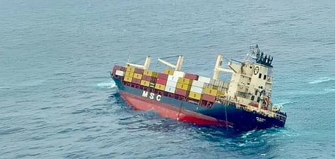 msc-elsa-3