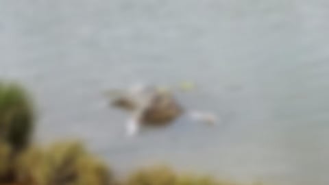 body found 