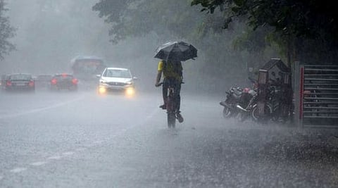 Rains bring down trees, power lines, waterlogging in many parts of Kerala