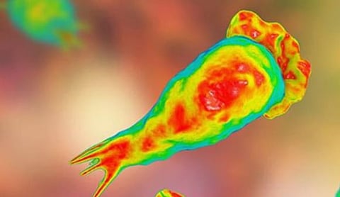 Amoebic Encephalitis in Kerala 