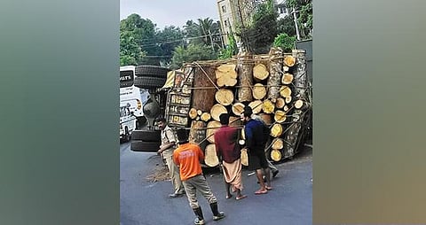  lorry 