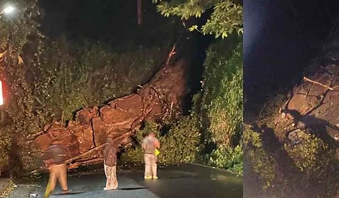 landslide