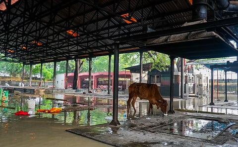 Yamuna : യമുന നദിയിലെ ജലനിരപ്പ് ഉയർന്നു : ഡൽഹിയിൽ വൻ ഗതാഗത കുരുക്ക്, പ്രധാന റോഡുകൾ വെള്ളത്തിനടിയിൽ