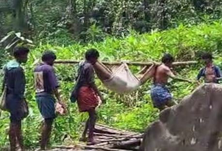 Forest : കേരളത്തിലെ ഏക ഗോത്ര വർഗ്ഗ പഞ്ചായത്ത്, നല്ല റോഡില്ല: ഇടമലക്കുടിയിൽ രോഗിയെ ആശുപത്രിയിൽ എത്തിച്ചത് കാട്ടുകമ്പും കമ്പിളിയും കൊണ്ട് സംവിധാനമൊരുക്കി