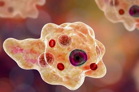 Amoebic Encephalitis in Kerala