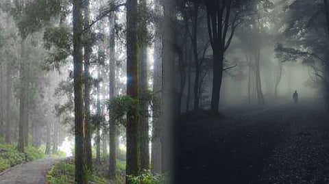 The Headless Boy of Dow Hill's Death Road