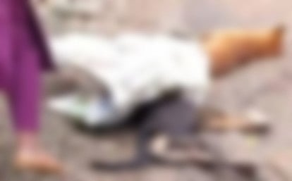 Dogs : പശുപ്പാറയിൽ നായകളും പൂച്ചകളും ചത്ത് വീഴുന്നു: മരണ കാരണം അവ്യക്തം