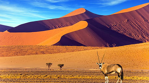 Namibia's Namib Desert 