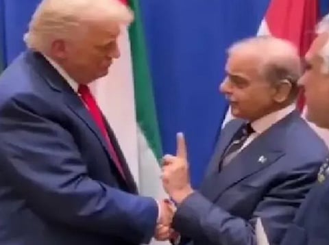 Shehbaz Sharif deserves Olympic gold for praising Trump, mocks Former Pakistani diplomat