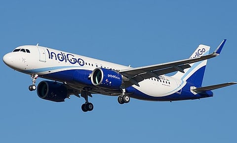 indigo