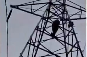 Man climbs electric tower