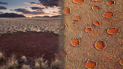  The Fairy Circles of Namibia
