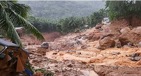 wayanadu landslide