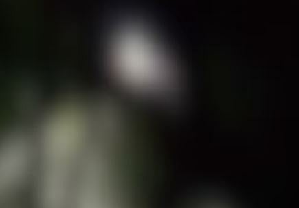 Nudity : വനിതാ ഹോസ്റ്റലിന് മുന്നിൽ നഗ്നതാ പ്രദർശനം : ജനൽ അടച്ചിട്ടാൽ മതിയെന്ന് പോലീസ്