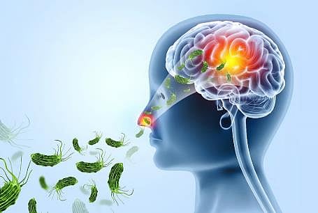 Amoebic Encephalitis