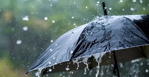 rain alert