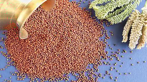 മില്ലറ്റ് വിഭവങ്ങളിൽ പരിശീലനം
