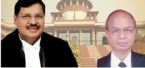 case against advocate