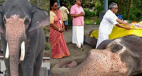 guruvayoor gokul
