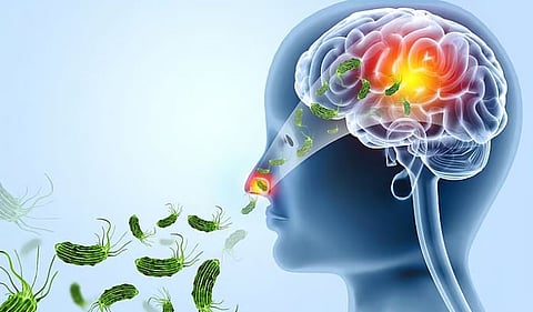 amebic meningoencephalitis