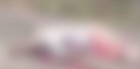 Dead : പാലക്കാട് യുവാക്കളെ മരിച്ച നിലയിൽ കണ്ടെത്തി : അരികിൽ നാടൻ തോക്ക്, ദുരൂഹത, കൊലപാതകമെന്ന് സംശയിച്ച് പോലീസ്