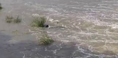 Drowned : ഭാരതപ്പുഴയിൽ ഒഴുക്കിൽപ്പെട്ട 2 വിദ്യാർത്ഥികളിൽ ഒരാളെ രക്ഷിച്ചു : രണ്ടാമനായി തിരച്ചിൽ