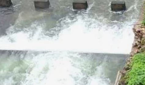 പീച്ചി ഡാം നാളെ തുറക്കും: ജാഗ്രതാ നിർദ്ദേശം | Peechi Dam