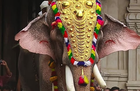 അക്കിക്കാവ് പൂരത്തിന് 13.50 ലക്ഷം രൂപ: തെച്ചിക്കോട്ടുകാവ് രാമചന്ദ്രന് വീണ്ടും റെക്കോർഡ് ഏക്കത്തുക | Thechikottukavu Ramachandran