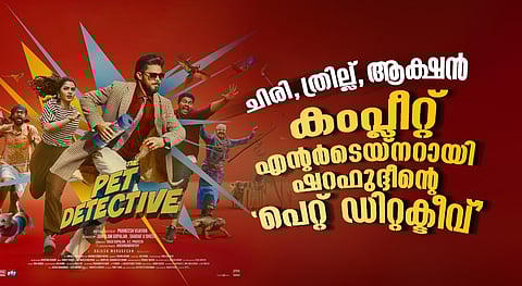 Pet Detective