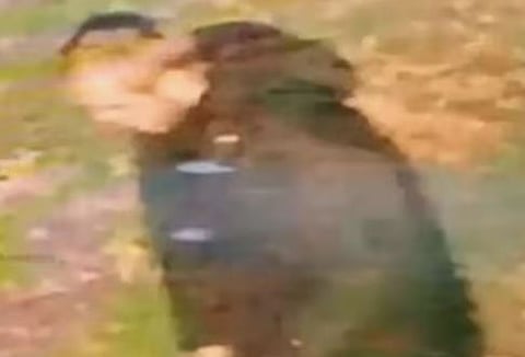 വംശീയ വിദ്വേഷം: വടക്കൻ ഇംഗ്ലണ്ടിൽ ഇന്ത്യൻ വംശജ എന്ന് കരുതപ്പെടുന്ന 20കാരിക്ക് അതിക്രൂര ലൈംഗിക പീഡനം; CCTV ദൃശ്യങ്ങൾ പുറത്തു വിട്ട് പോലീസ് | Sexually assaulted