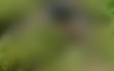 തൃശൂരിൽ അഴുകിയ നിലയിൽ പുരുഷൻ്റെ മൃതദേഹം കണ്ടെത്തി: അന്വേഷണം | Body