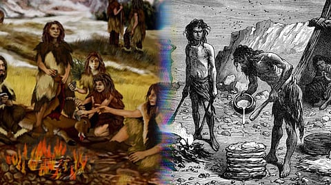 The Evolution of Human Diets, A Journey Through Time